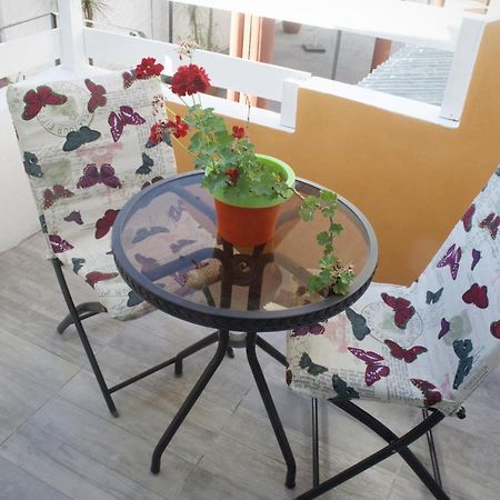 ויז'ה חסל Hosteria Robert מראה חיצוני תמונה